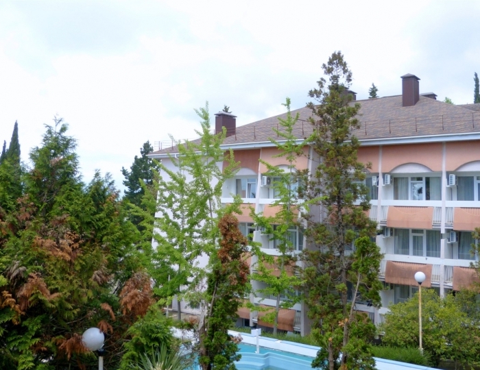 Стандартный Стандарт 2-местный вид на парк (к2,к4) - Санаторий «Магадан»